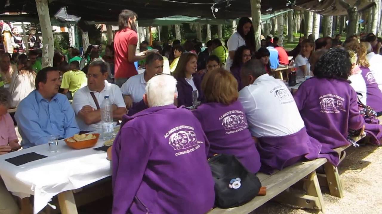 VII Día del cabezudo en Aranda de Duero 2016.