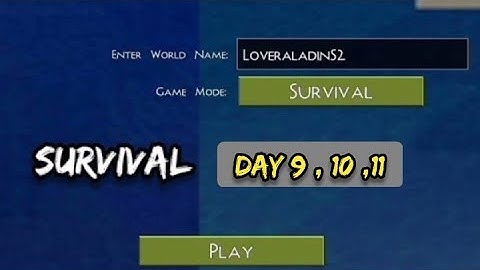 Survival Day 9,10,11 mini block craft