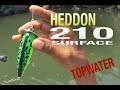 ヘドンルアー 210(ツーテン)|Heddon 210 SURFACE Lure|トップウォーター へドンルアー バス釣り|ダイワリール タトゥーラSVTW|パームス エッジプライド|