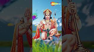 Watch on YouTube