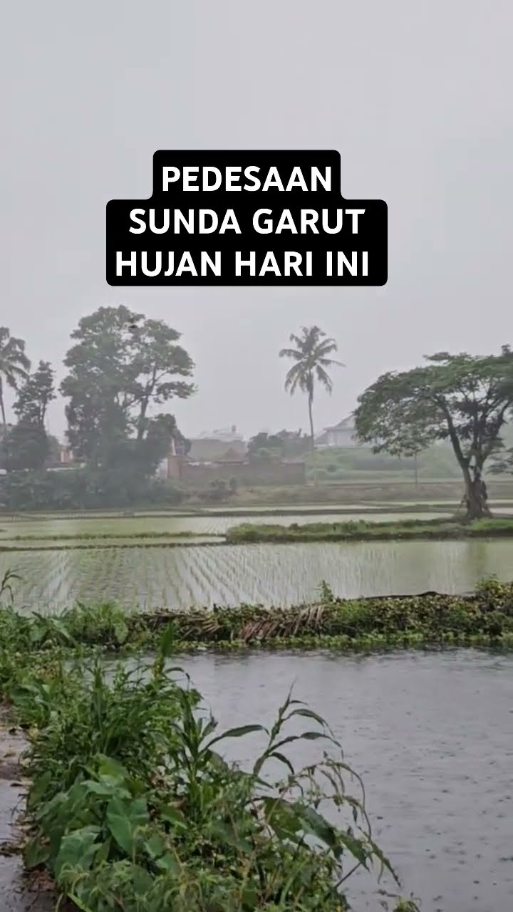Pedesaan \u0026 Pesawahan Garut Hujan