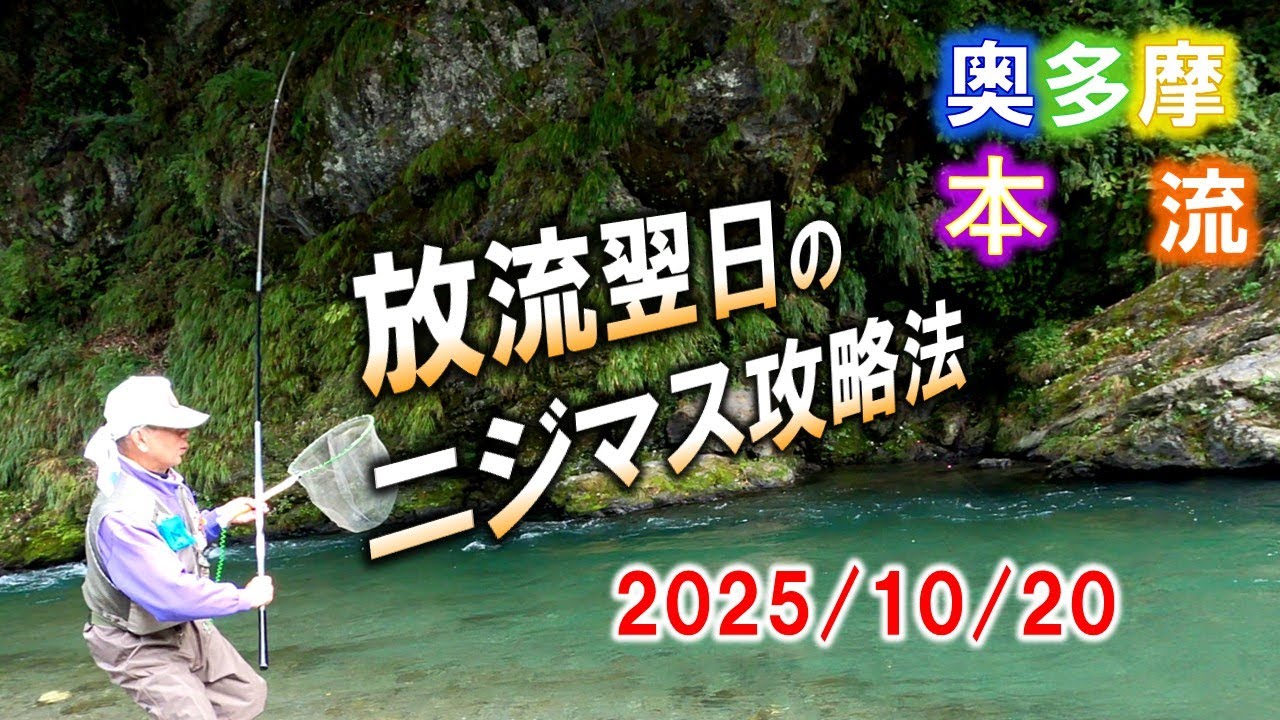 奥多摩本流ニジマス釣り。放流翌日の楓橋下・氷川キャンプ場・海沢大橋下の状況と攻略法を考える。2025/10/20