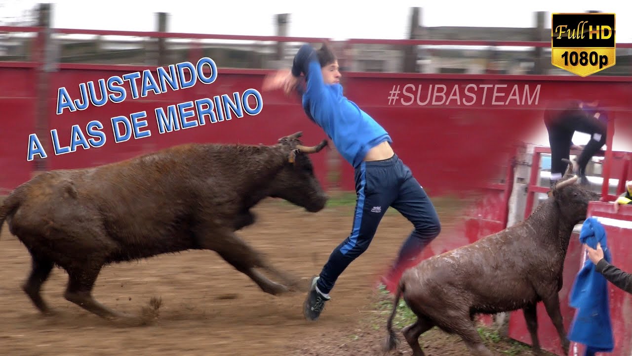 ✅ AJUSTANDO A LAS DE MERINO! (6-12-22) #subasteam
