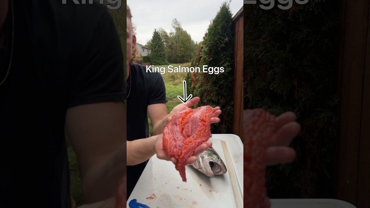 Salmon eggs turned into a 5 star meal