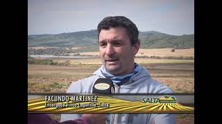 Salta Agropecuaria 767  Bloque 1