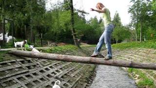 MVI_2923.avi