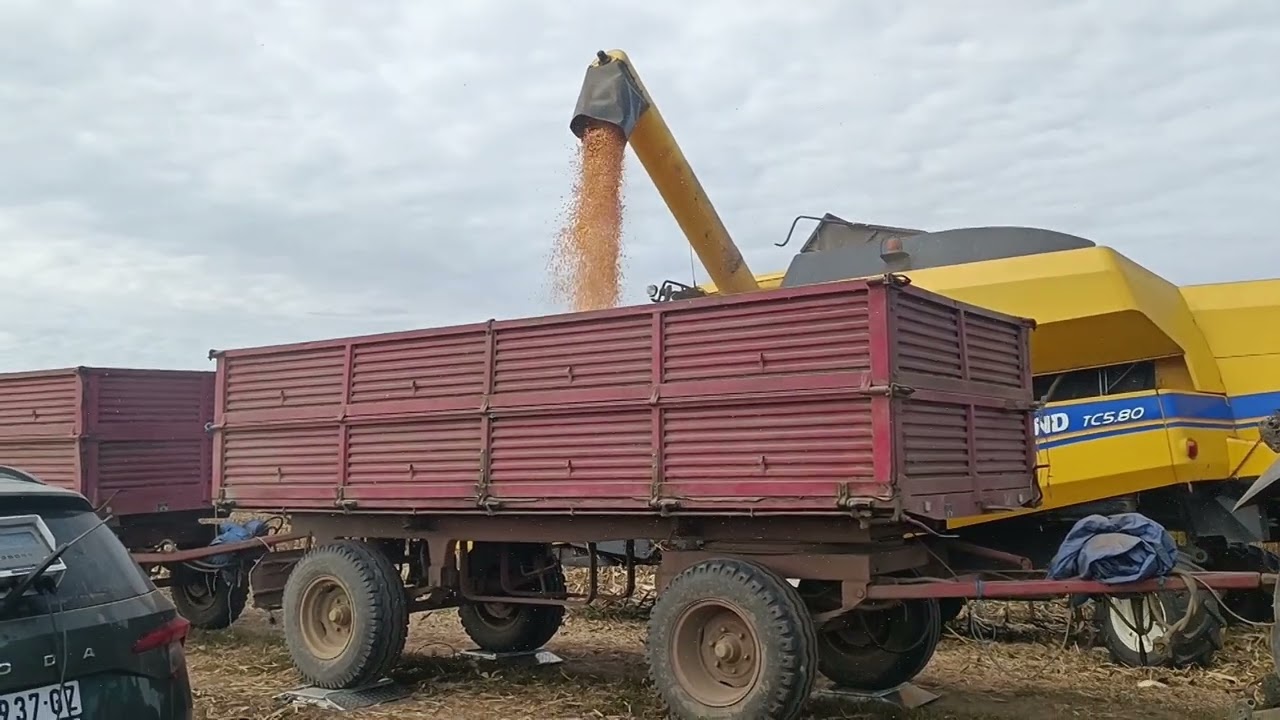 DKC HIBRIDI KOD RUDOLFA TOTA U TEMERINU