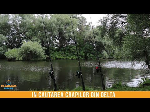 Video: Cât costă schimbarea zborurilor pe Delta?