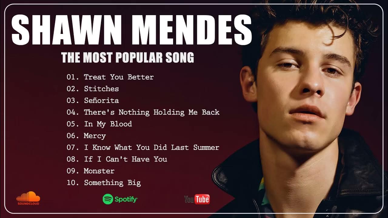 Shawn Mendes Best Playlist Music For You Mp3 YouTube