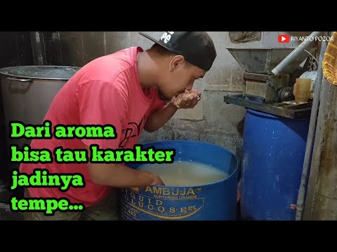 Tempeh Goes Bad