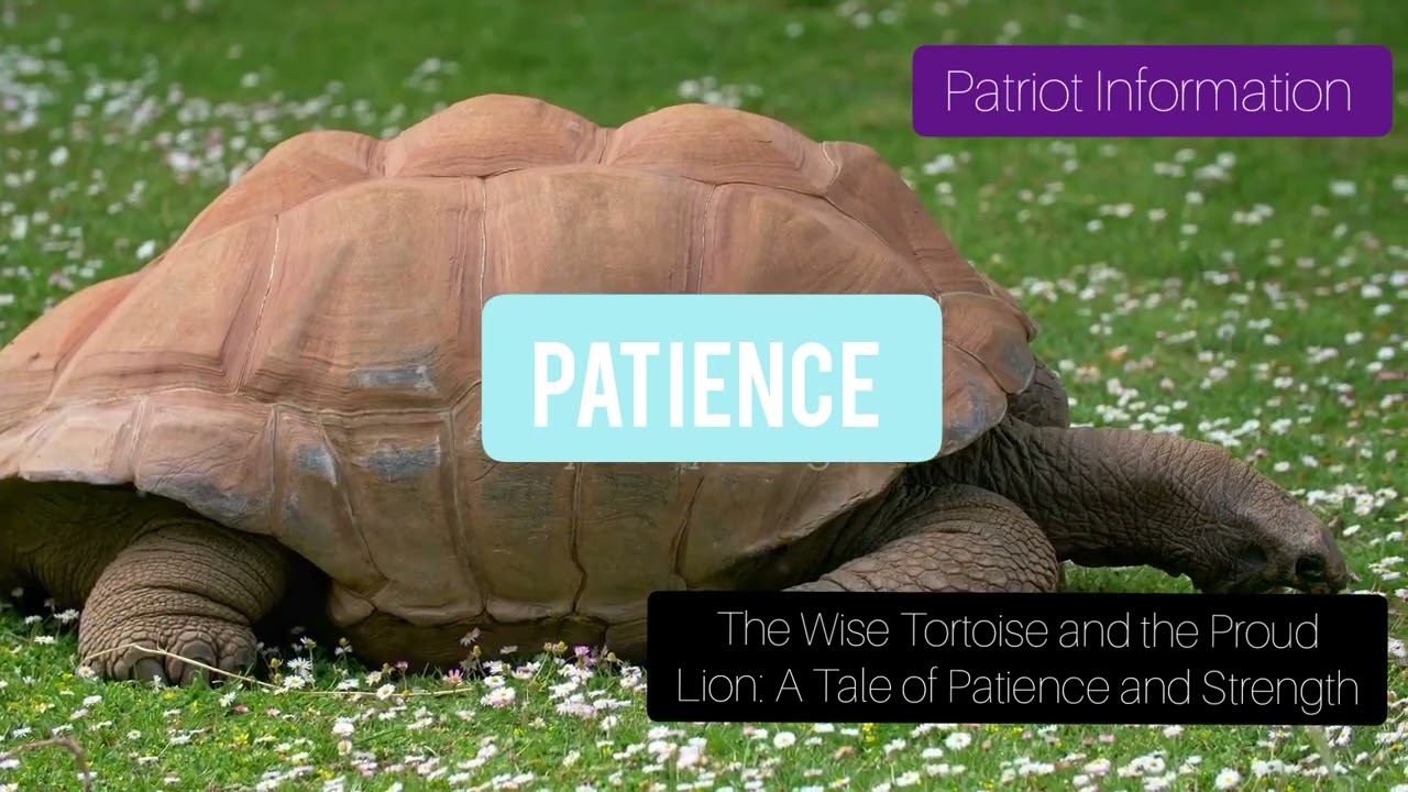 The Wise Tortoise and the Proud Lion: A Tale of Patience and Strength