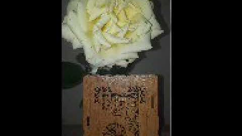 القارئ رضوان شنيتي ❤ تلاوة عطرة❤