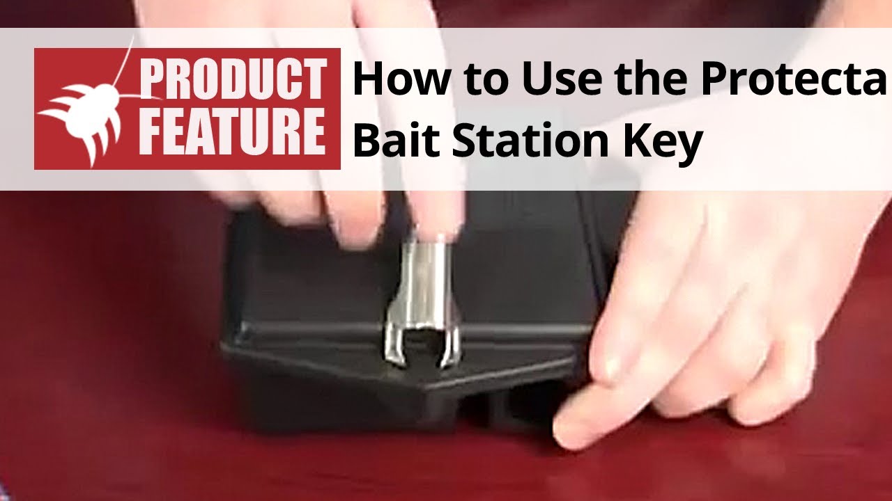 Replacement Key for Protecta LP Rat and Mouse Bait Station