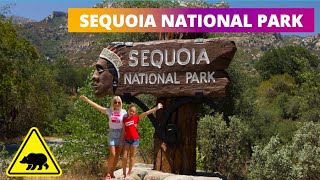 Park Sequoia | Путешествуем по Калифорнии
