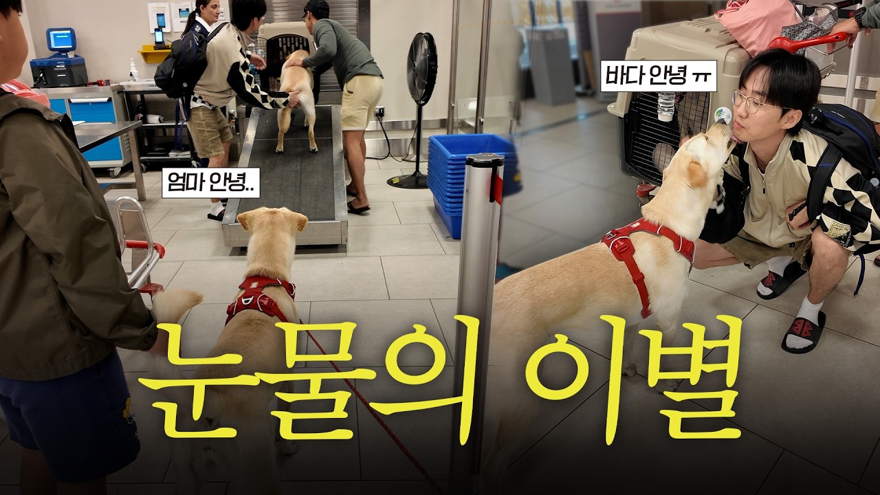 캐나다의 마지막, 다다와 바다의 눈물의 이별