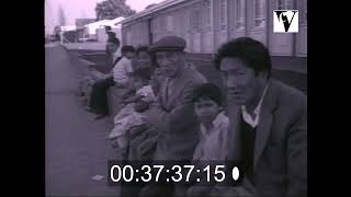 1976, Newsreel - South African Spieel Mirror - Government Film of Soweto Uprising, apartheid