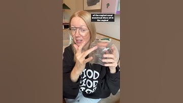 How to Insert a Menstrual Disc | educational model used  #shorts