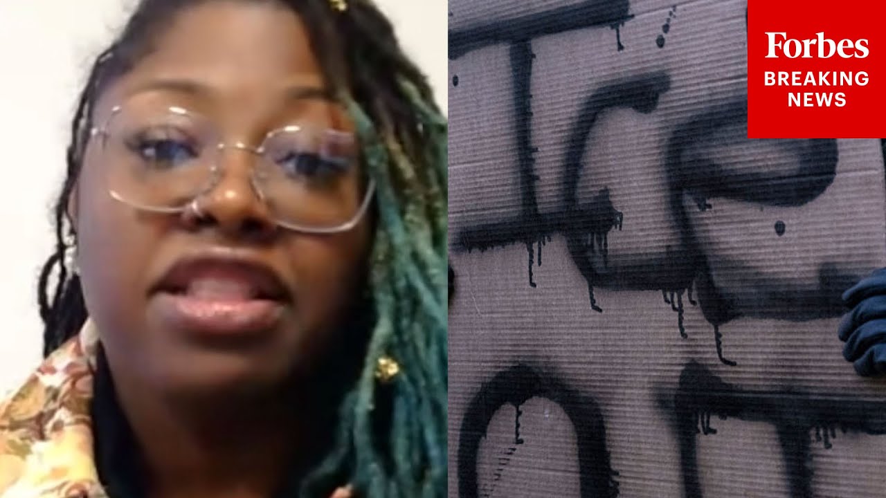 'ICE Needs To Get Out Of Minnesota': Minneapolis Dem Robin Wonsley Details On-The-Ground 'Chaos'