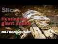 Hunting the giant snake | SLICE I Full documentary