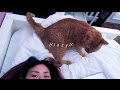 LAZY // Christmas Vlog · CatCreature