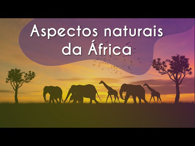 Aspectos Naturais da África – Clima e Vegetação - Brasil Escola