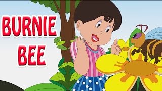 Burnie Bee - Animated Nursery Rhyme in English