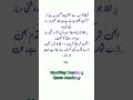 Daily Quran Reminder Light Up Your Heart & Soul NoorWay Coaching Quran Academy