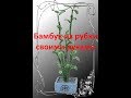 Мастер-класс Бамбук из рубки своими руками