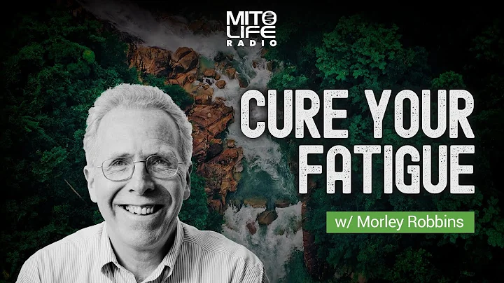 Cure Your Fatigue w: Morley Robbins | Mitolife Rad...