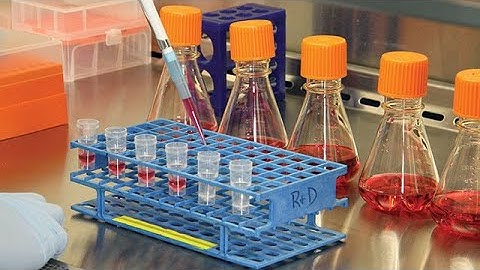 Learn All About Cell Culture - Explained in 4 Minutes