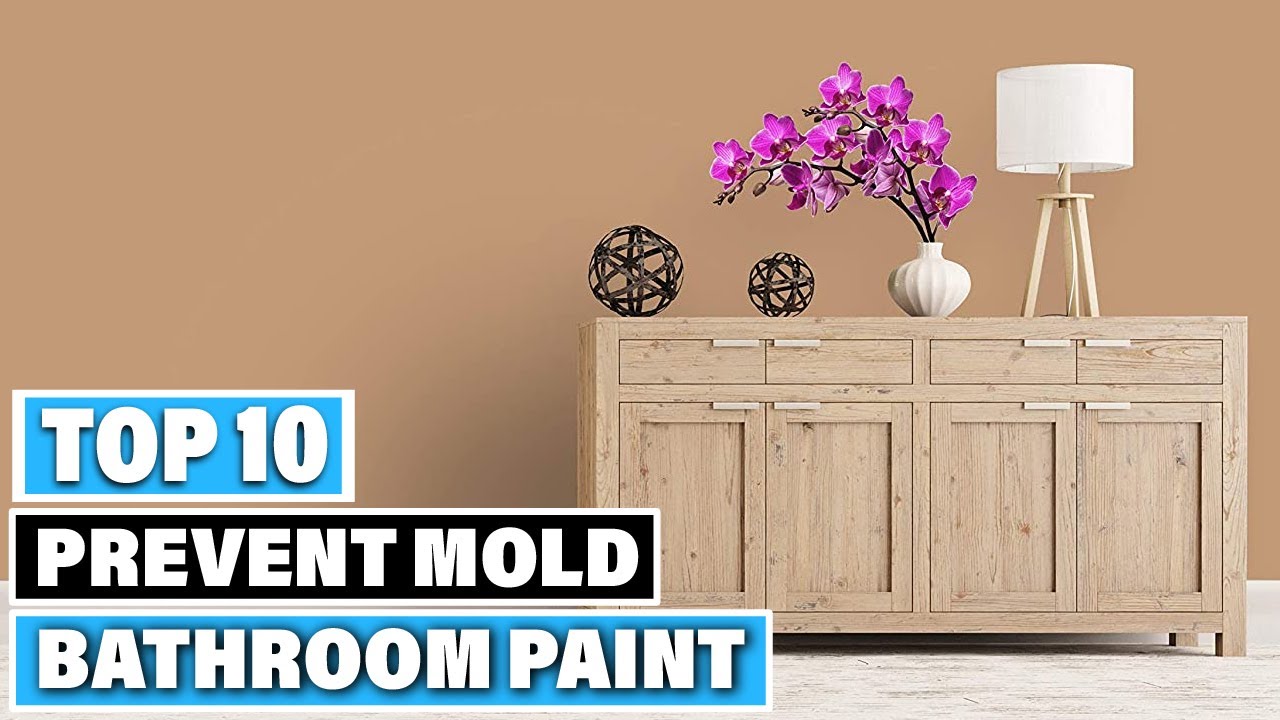 Bathroom Paint to Prevent Mold: Best Bathroom Paint to Prevent Molds ...