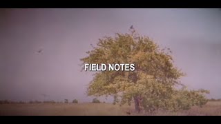 Owl City | Field Notes (Official Lyric Video) #FieldNotes #OwlCity