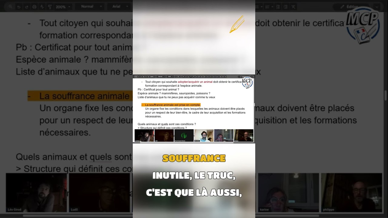 Souffrance animale - Que mettre dans la Constitution ?