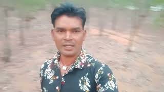 Dehati Jungle Ki Pyara Pyara Najara Video