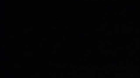 Sense-Sational Day (All Versions) Part 1