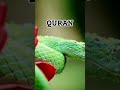 I love quran short viral whatsapp status 1 million views