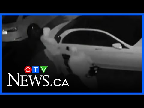 Ottawa Automotive