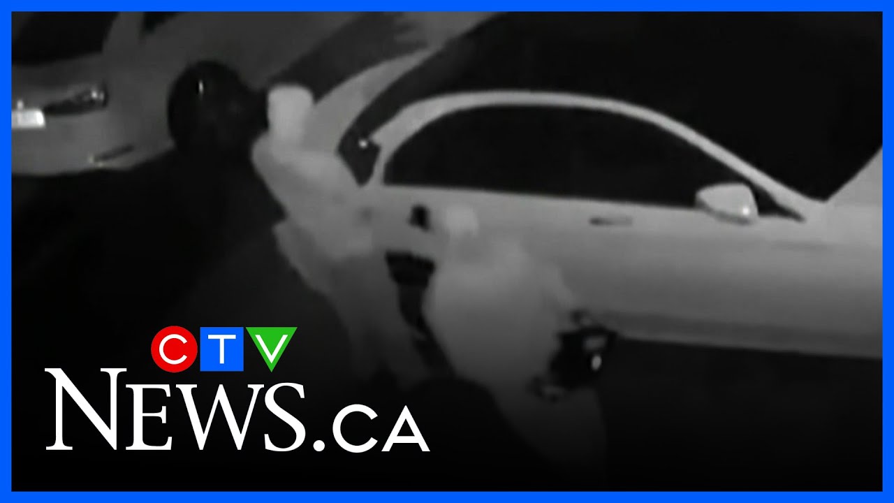 Ottawa auto theft drops nearly 10 per cent in 2025