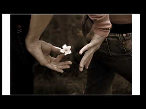 نعيش الحب وائل جسار 