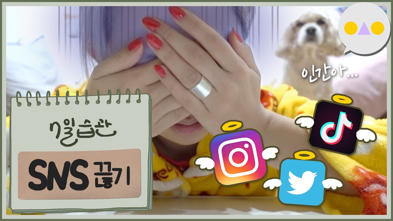 {7일습관} 덕질,친목,맛집검색,킬링타임을 안 하면 뭘하고 살지