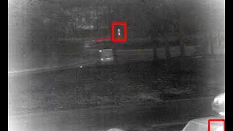 Teledyne FLIR Thermal Detection Using DAVANTIS Video Analytics