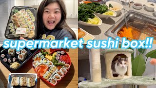 my favorite supermarket sushi , how I met bird  + new aesthetic cat tree!!