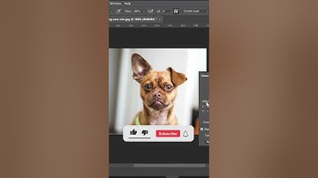 How to use clone stamp tool in photoshop