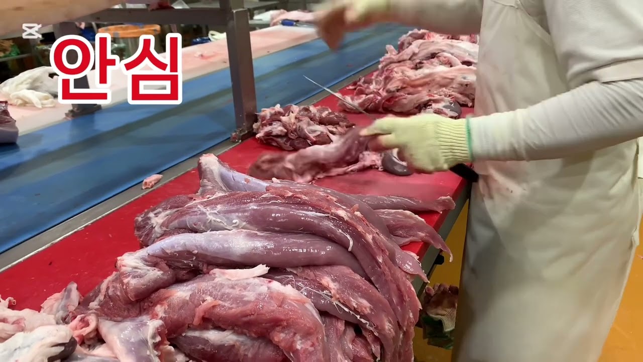 Pork Meat Cutting in South Korea Company 