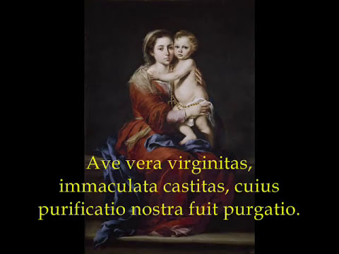 Ave Maria, Virgo Serena - Catholic Songs of Praise