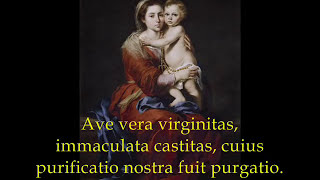Ave Maria, Virgo Serena - Catholic Songs of Praise to Mary chords