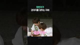 원빈이가 강아지를 대하는 자세????????