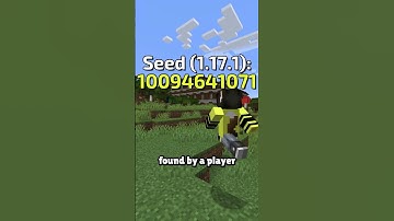 Minecraft Beaten in 30 Seconds?