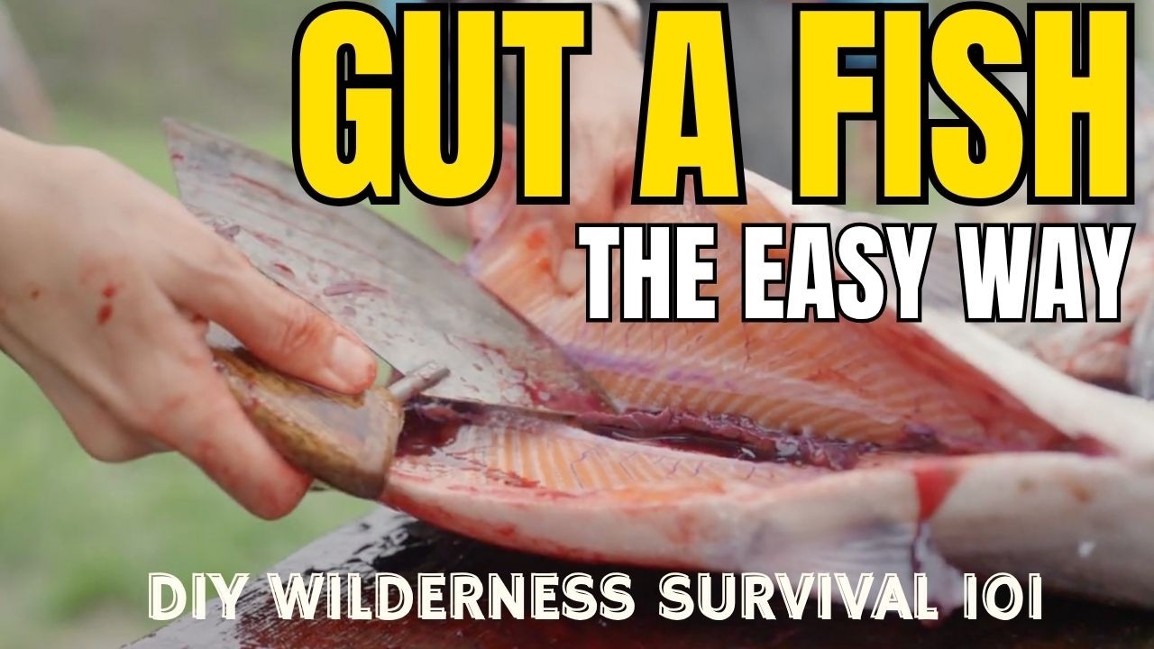 How to Gut a Fish the Easy Way | Wilderness Survival 101