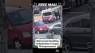 Mali Von Hoodblaq In Rotterdam Wegen Festgenommen 